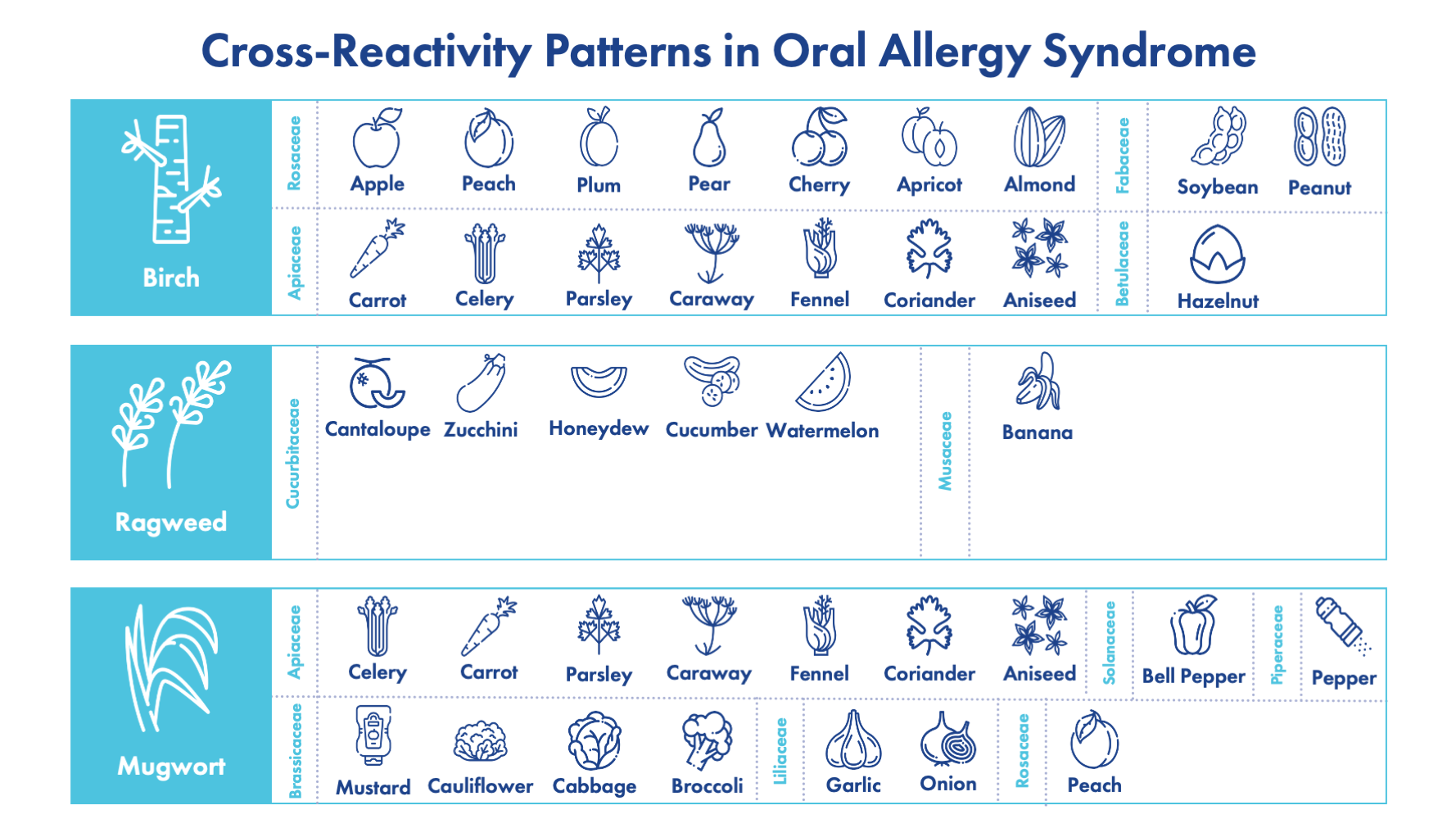 How Food Allergies and the Environment Collide